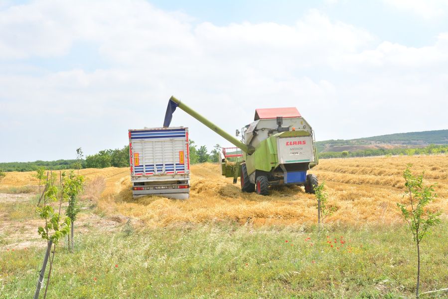 Balıkesir Üniversitesinde Tarım Faaliyetleri Deva Ediyor