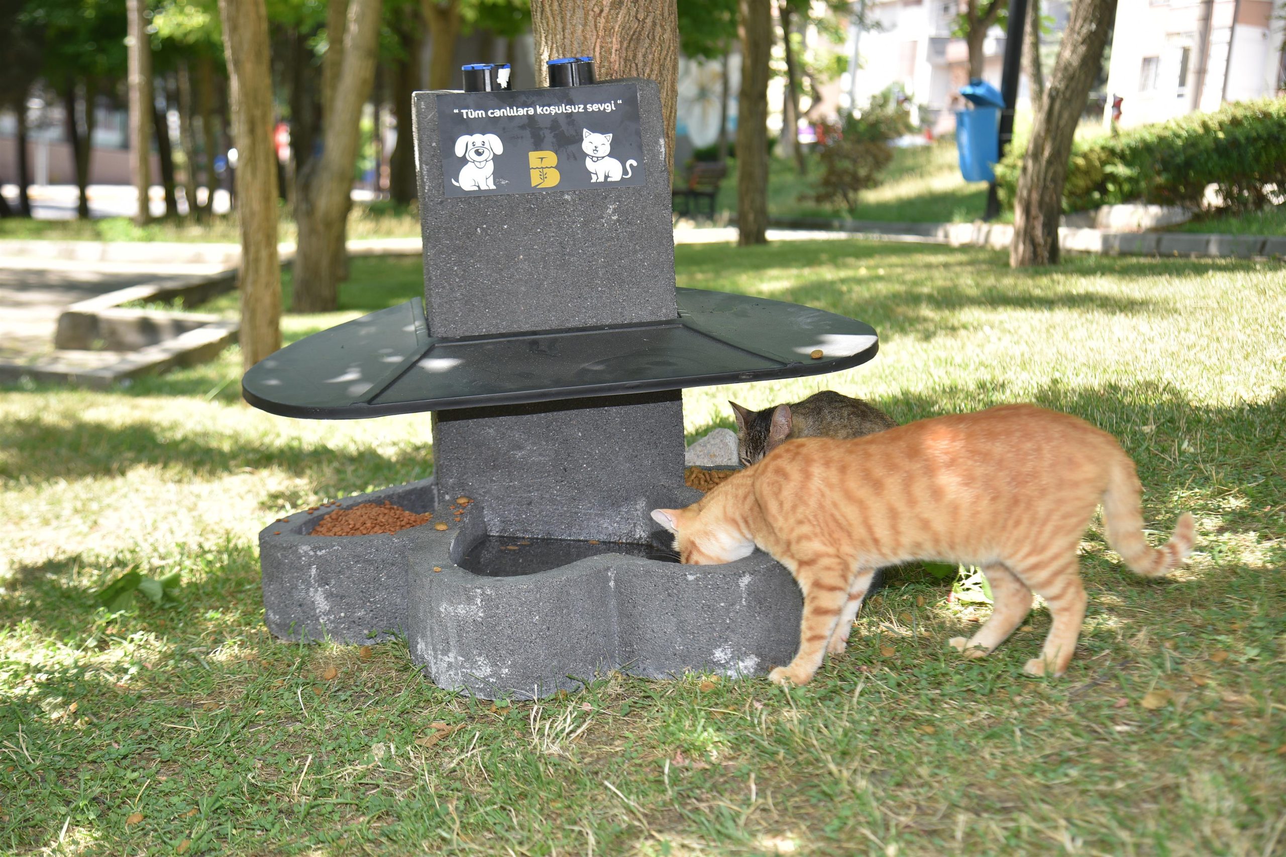 Büyükşehirden Pati Beslenme Noktaları