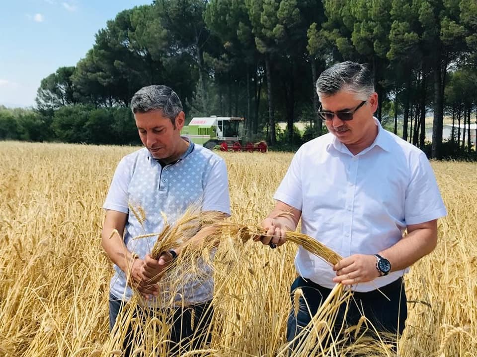 Tarım Lisesi İlk Hasadını Yaptı