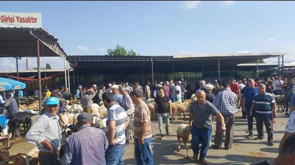 Havran Hayvan Pazarı Büyük İlgi gördü