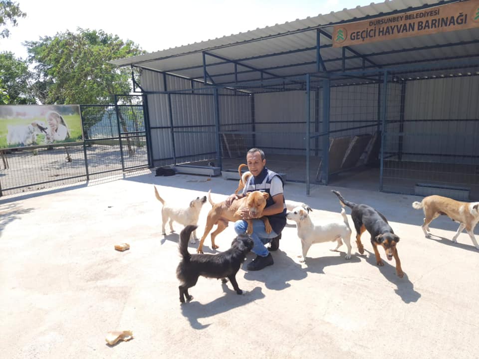 Belediye Bayramda da Can Dostları Unutmadı