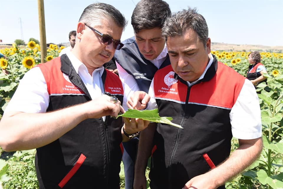 Tırtıl istilasına ZİHA savunması