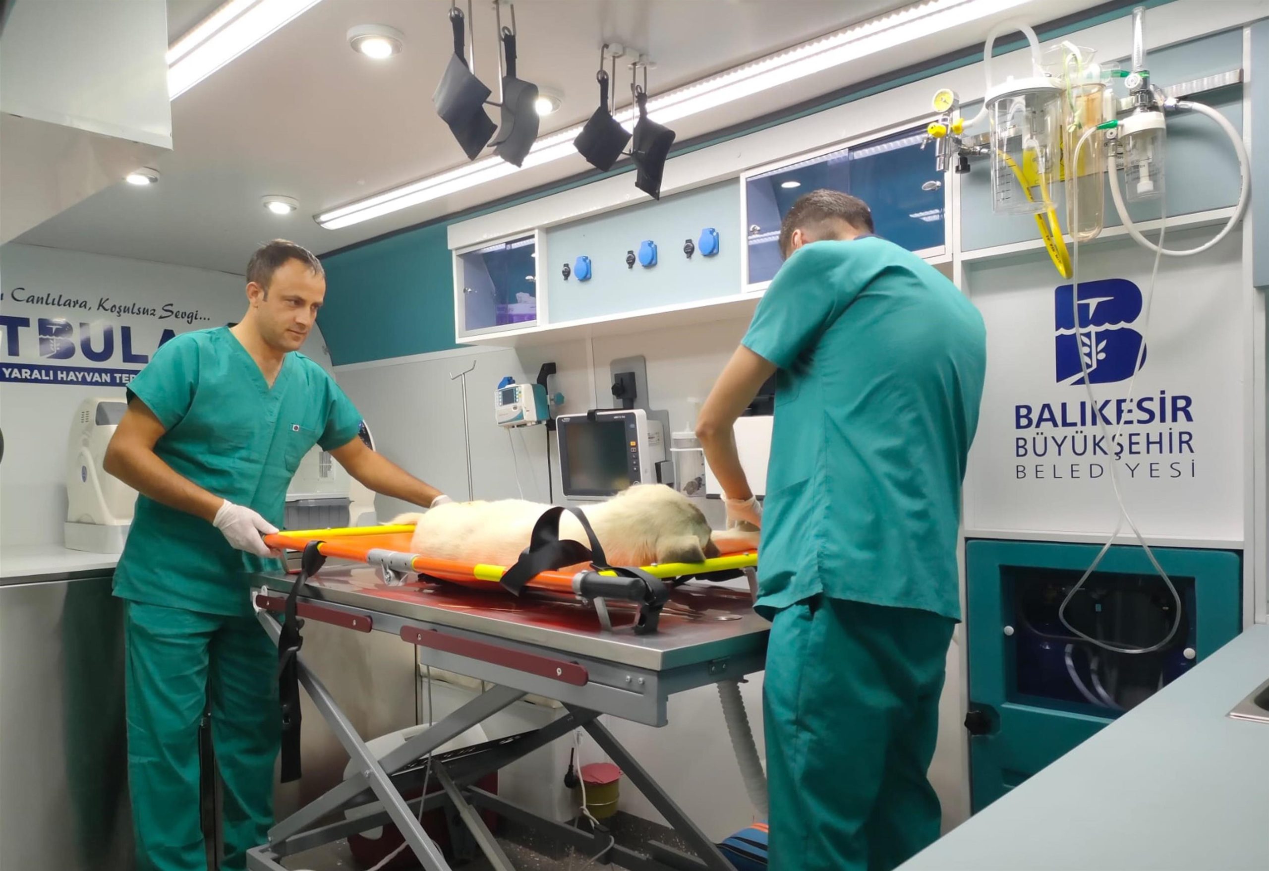 Can Dost Tedavileri Gerçekleştirildi