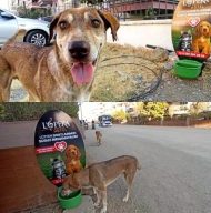 L’OPERA DELUXE HOTEL Hayvanseverlerin Takdirini Kazandı