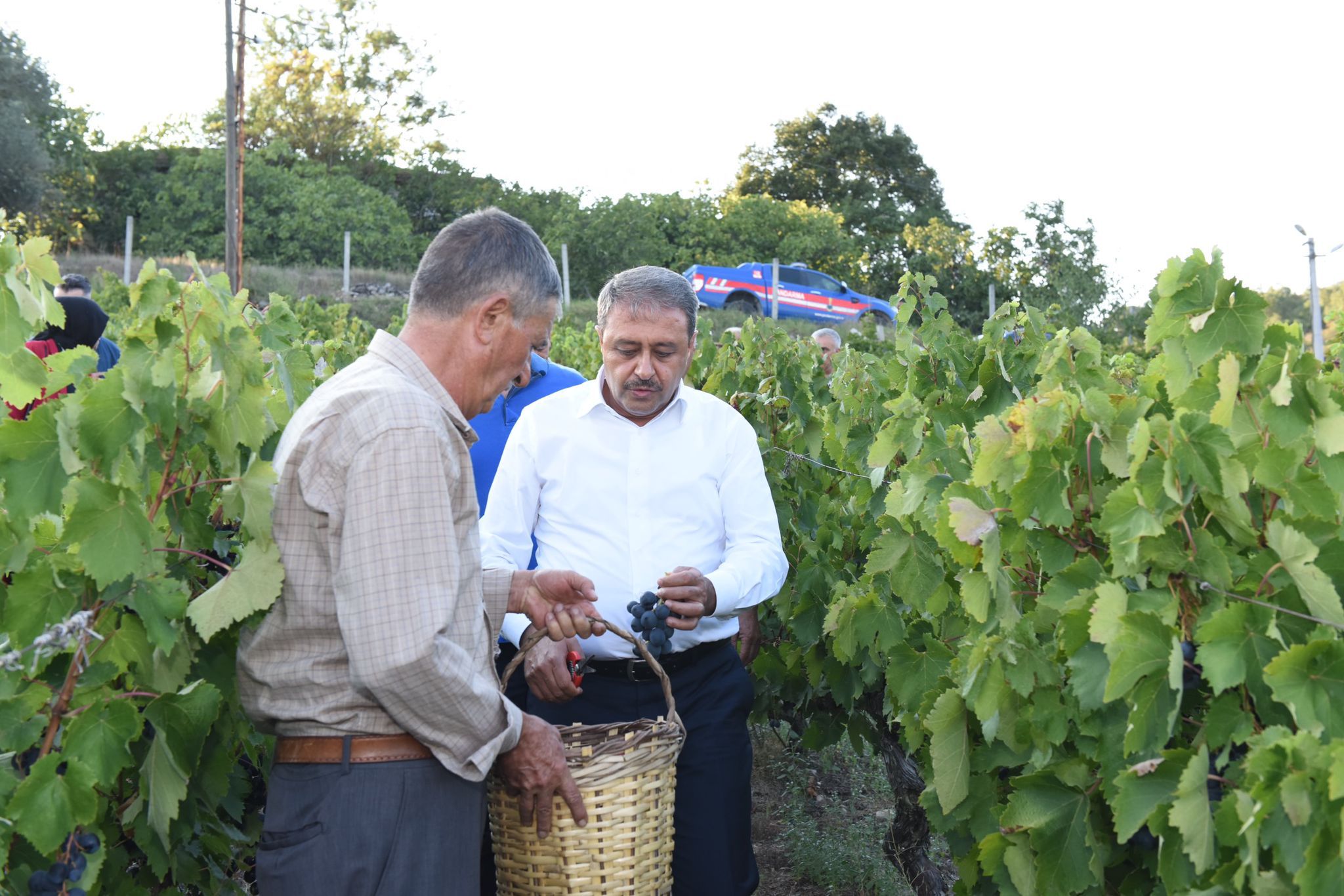 Üzümün Yolculuğuna Tanıklık Etti
