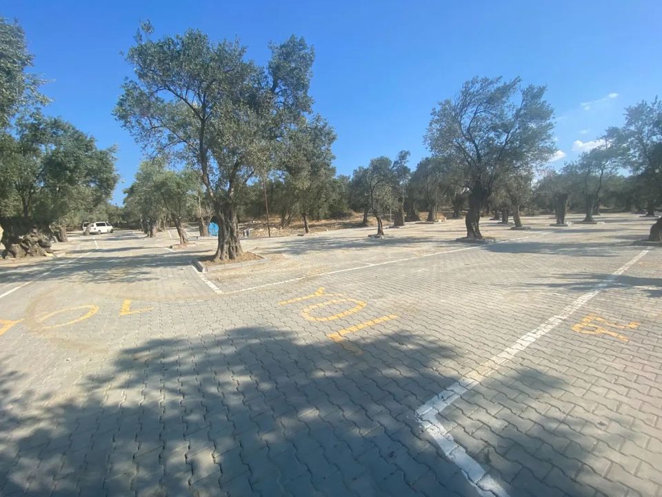 Pelitköy Pazarı Yeni Yerinde Açıldı