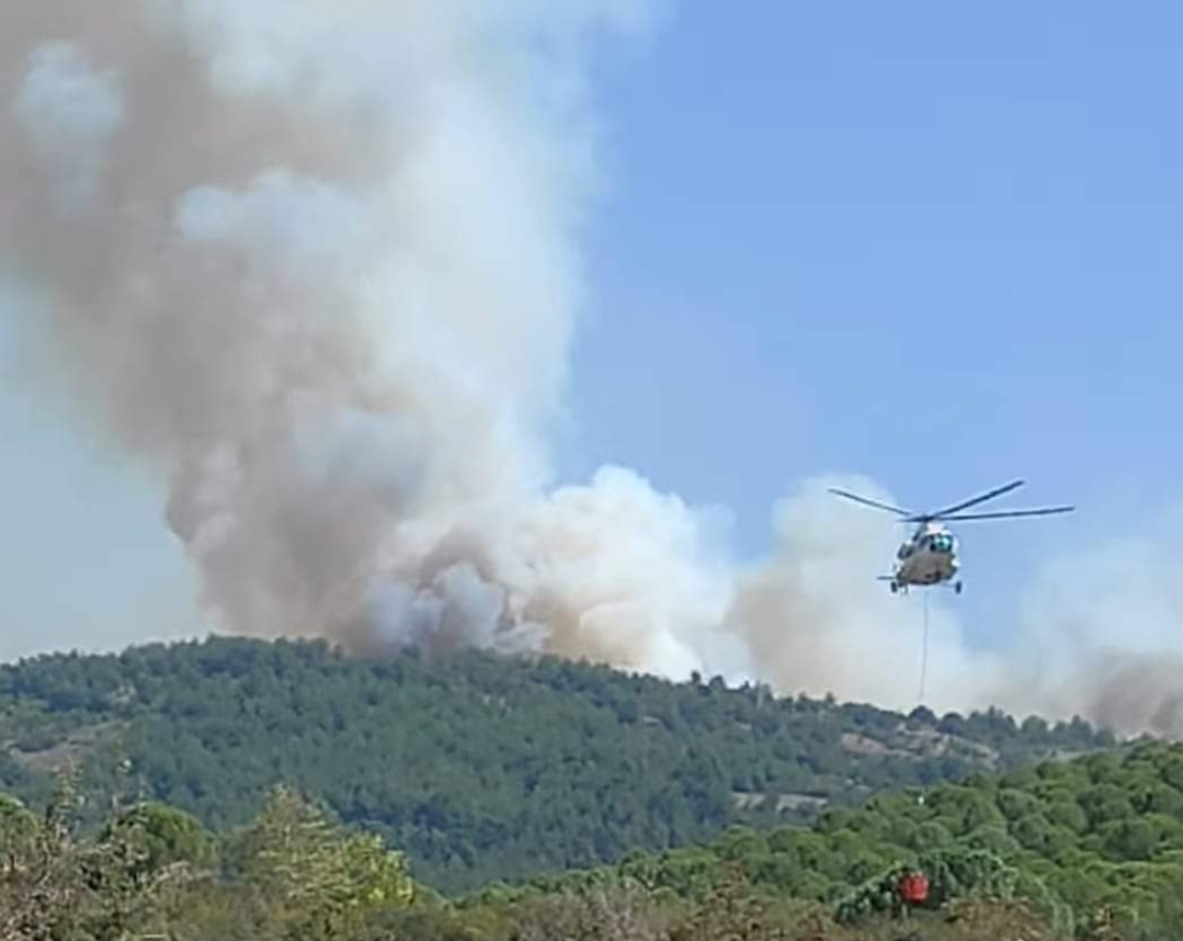 Kepsut’da ki Yangın Kontrol Altına Alınmaya çalışılıyor