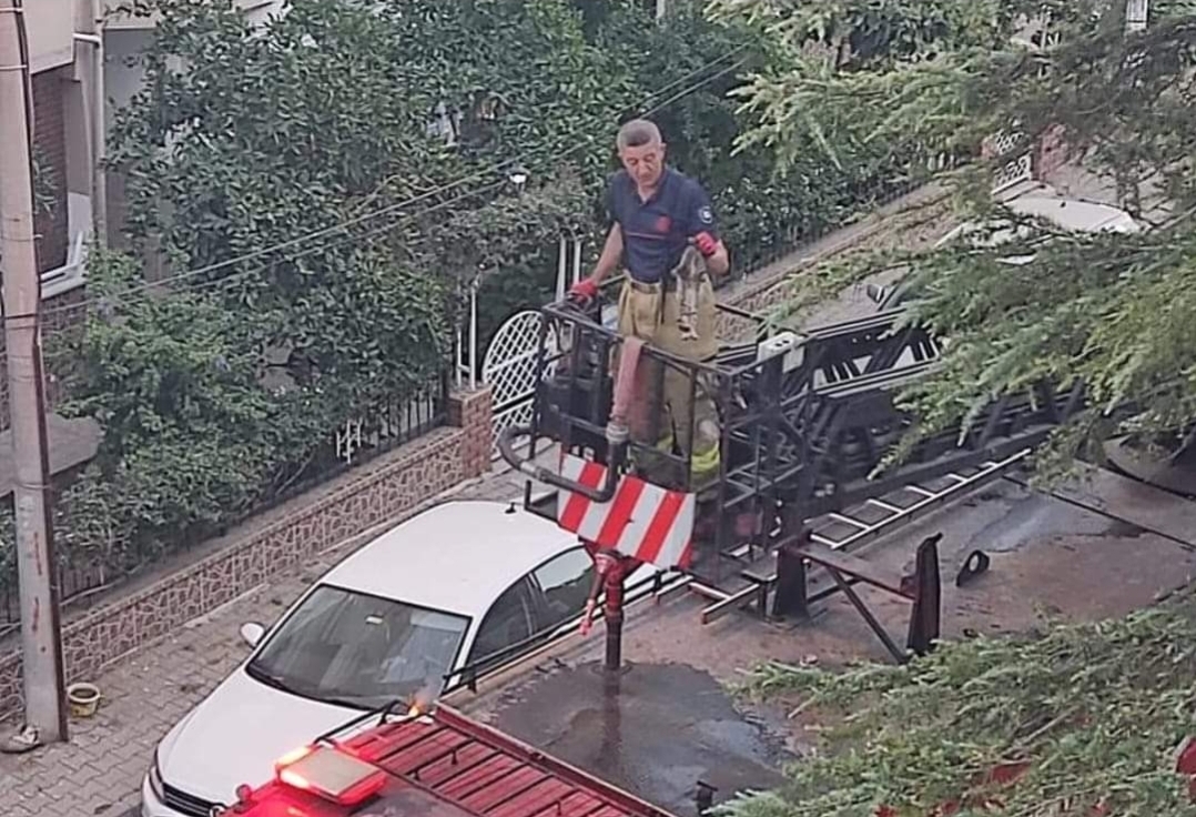 Yaramaz Kediyi Çıktığı Ağaçtan İtfaiyeciler Kurtardı