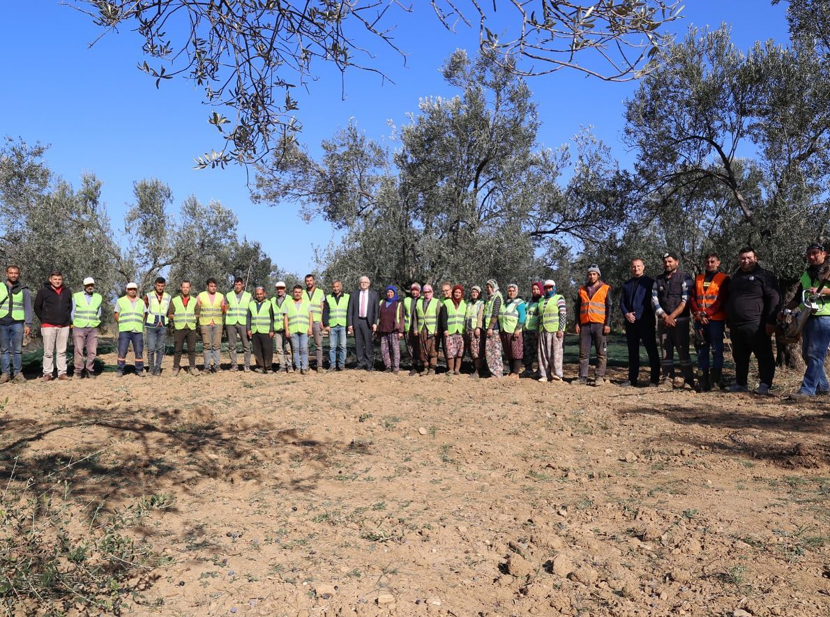 Başkan Deveciler Hasat Yapan Zeytin Emekçilerle Bir Araya Geldi