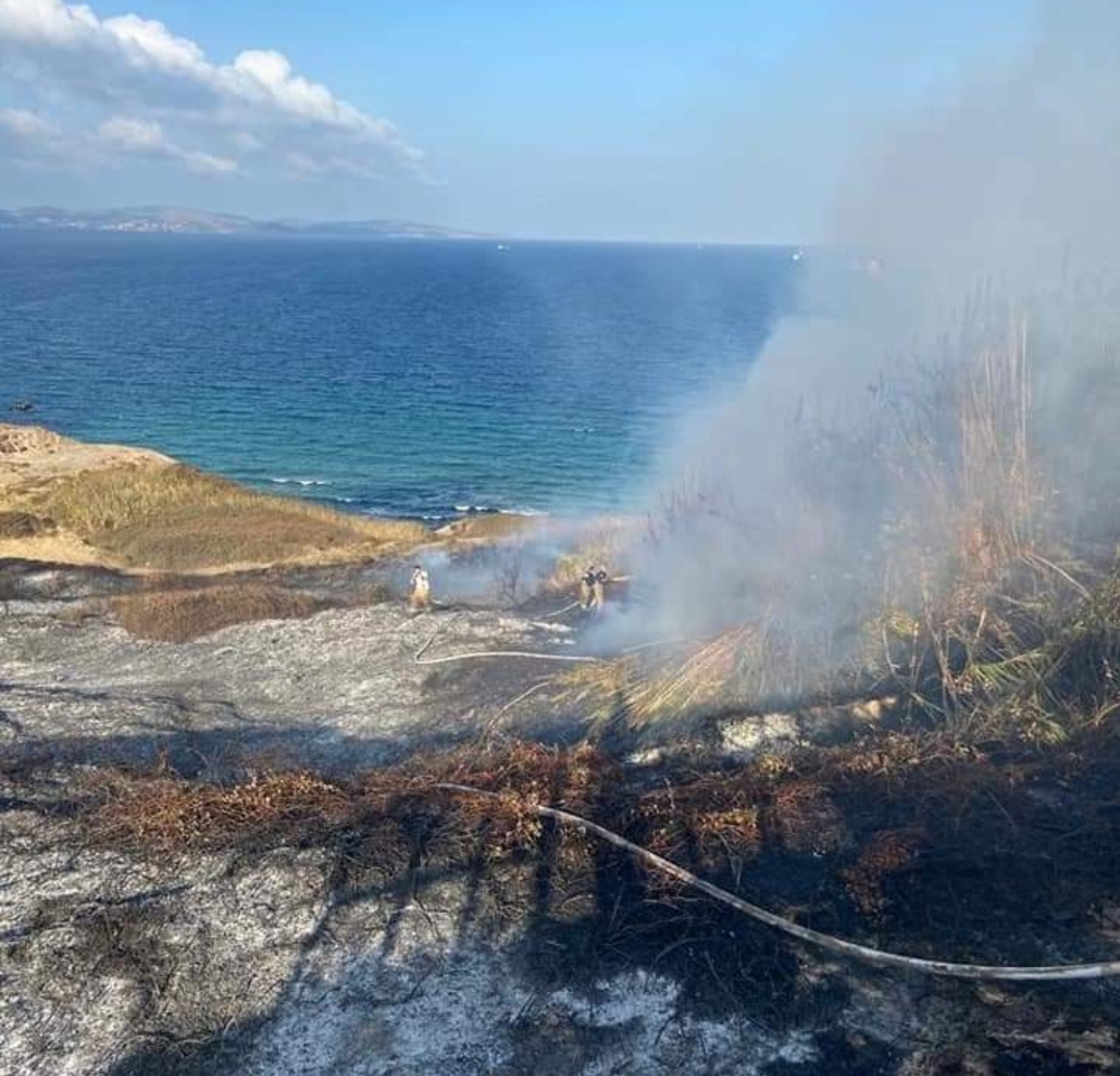 Yangında 8 Kaplumbağa ve Bir Yavru Köpek Kurtarıldı