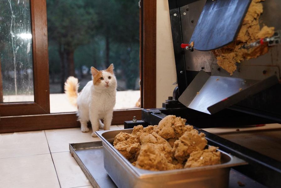 Ayvalık Belediyesi Can Dostlar İçin Mama Üretim Tesisi Kurdu