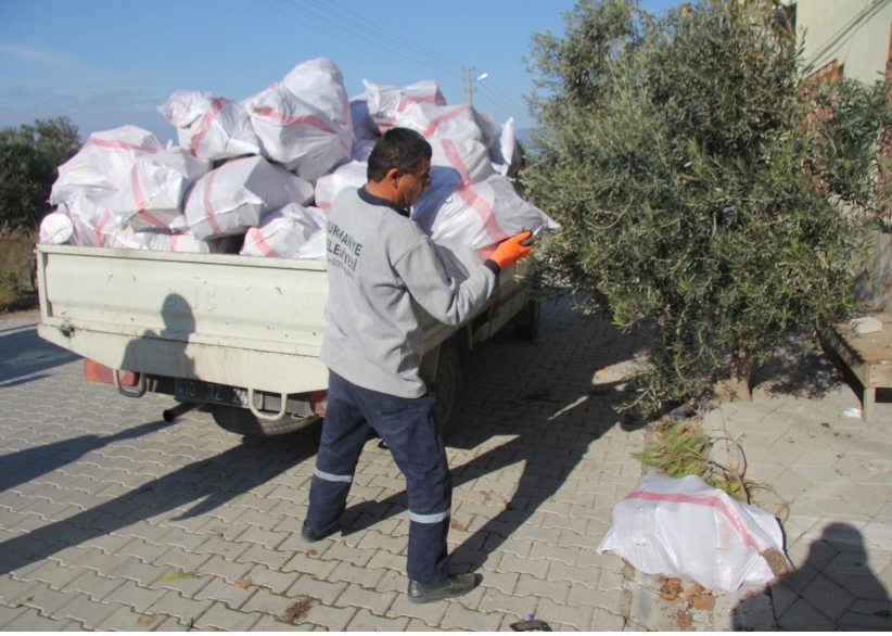 Burhaniye Belediyesinden İhtiyaç Sahiplerine Yakacak Yardımı