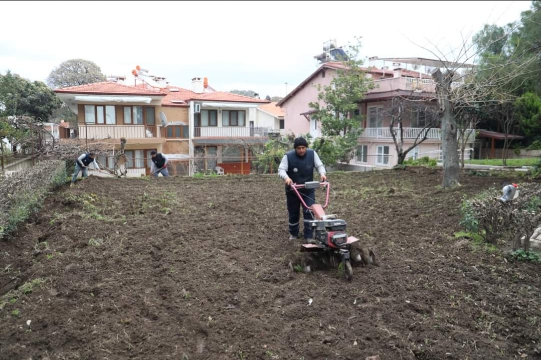İlçe Genelinde Yeşil Alanlara Kışlık Bakım Yapılıyor