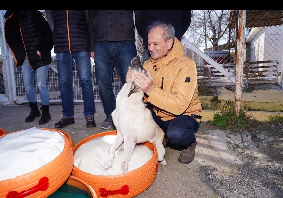 Veteriner İşleri Müdürlüğü Eski Lastikleri Can Dostlar İçin değerlendirdi