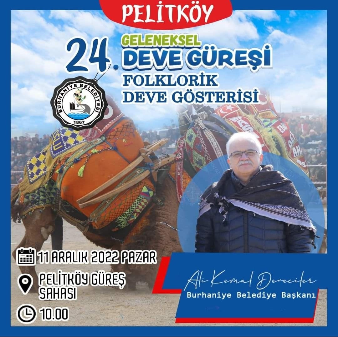 24. Geleneksel Pelitköy Deve Güreşlerine Geri Sayım Başladı