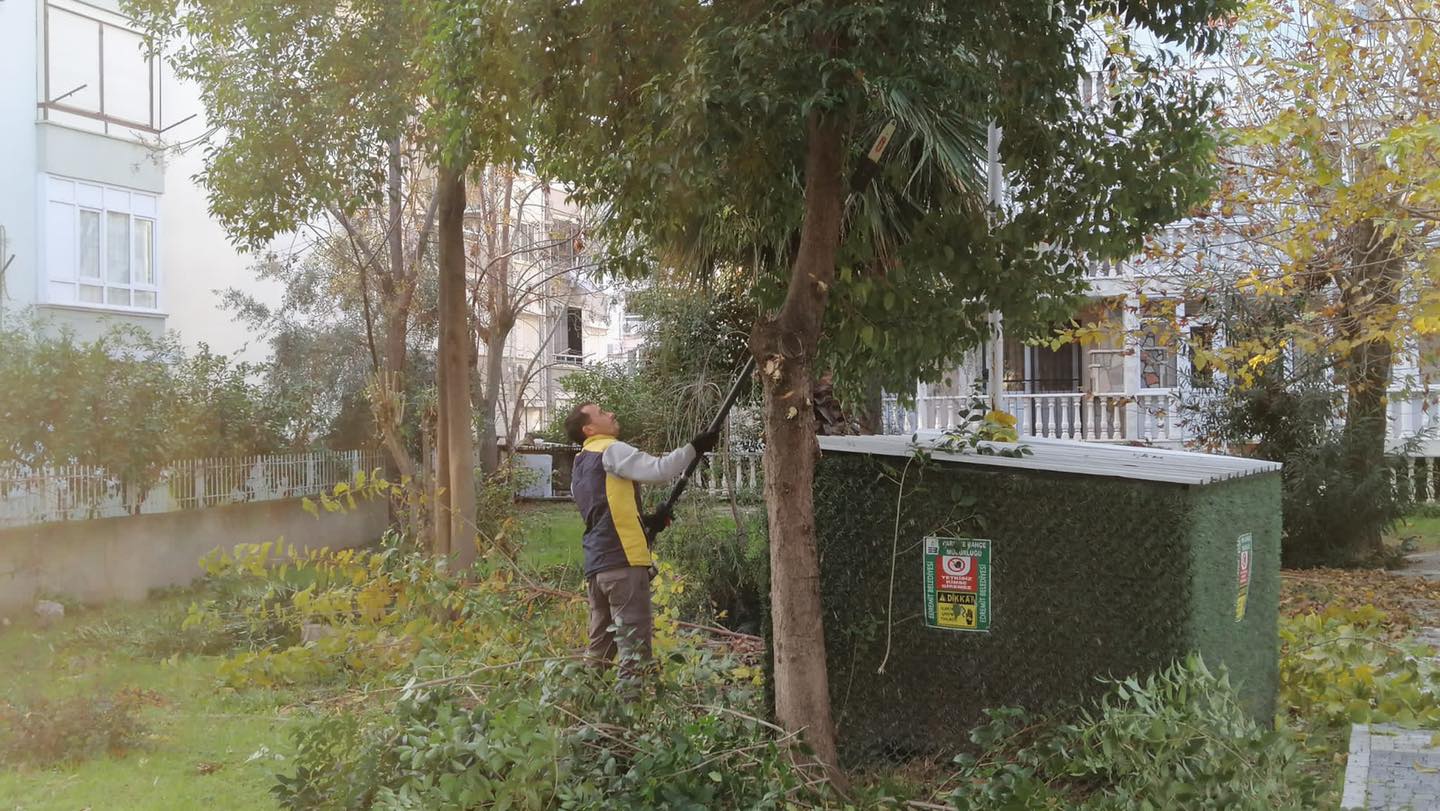Park Ve Yeşil Alanlarda Budama Yapılıyor