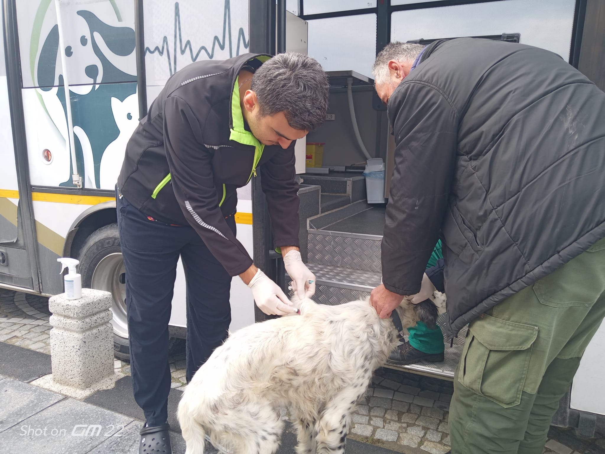 VETBÜS Sokak Hayvanlarına Şifa Dağıtmaya Savaştepe İlçesinden Başlıyor