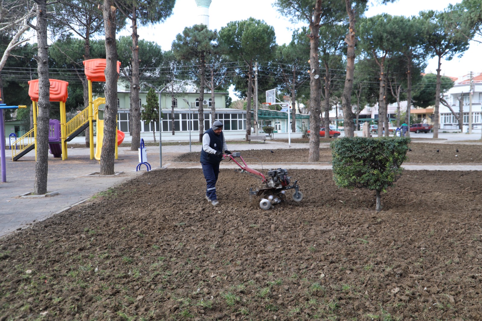 Park Ve Bahçeler Müdürlüğü Yeşil Burhaniye İçin Çalışmalarını Sürdürüyor