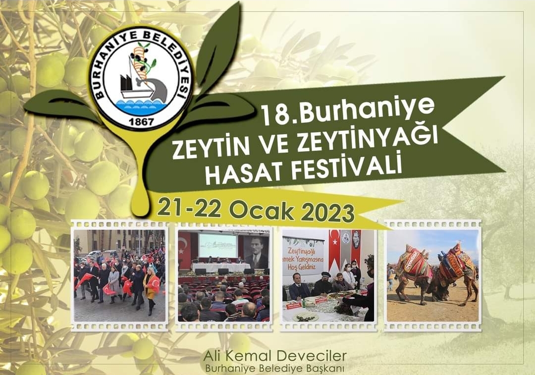 Zeytin Hasat Festivaline Geri Sayım Başladı
