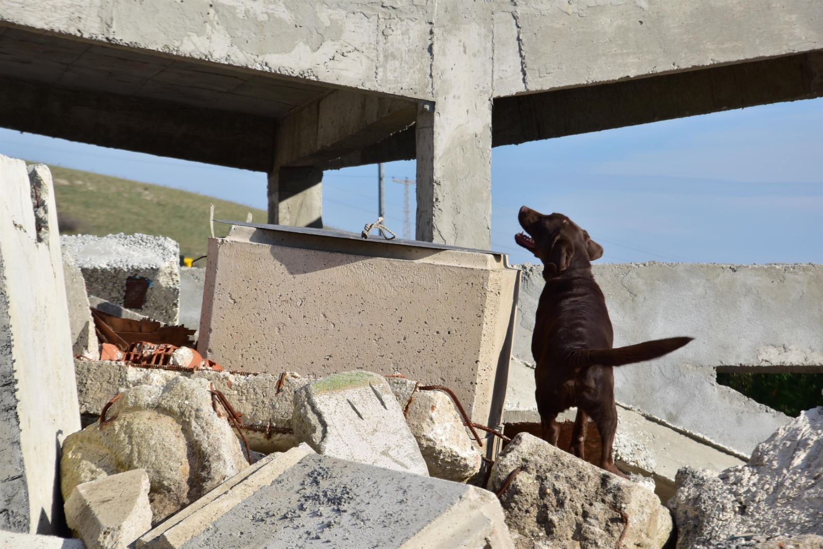 Balıkesir’ de Okulum Afete Hazır Projesi