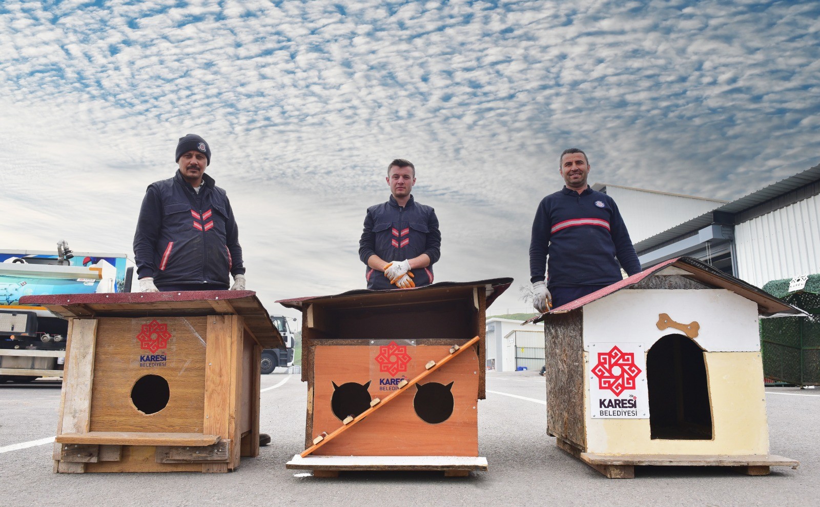 Karesi Belediyesinde Sokak Canlarına Köpek Ve Kedi Evleri