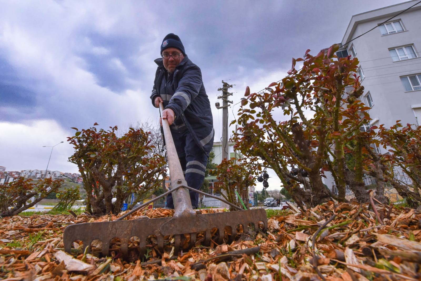 Karesi’ de Budanan ağaç Ve Bitkiler Talaş Haline Getirilerek Gübre Olarak Kullanılıyor