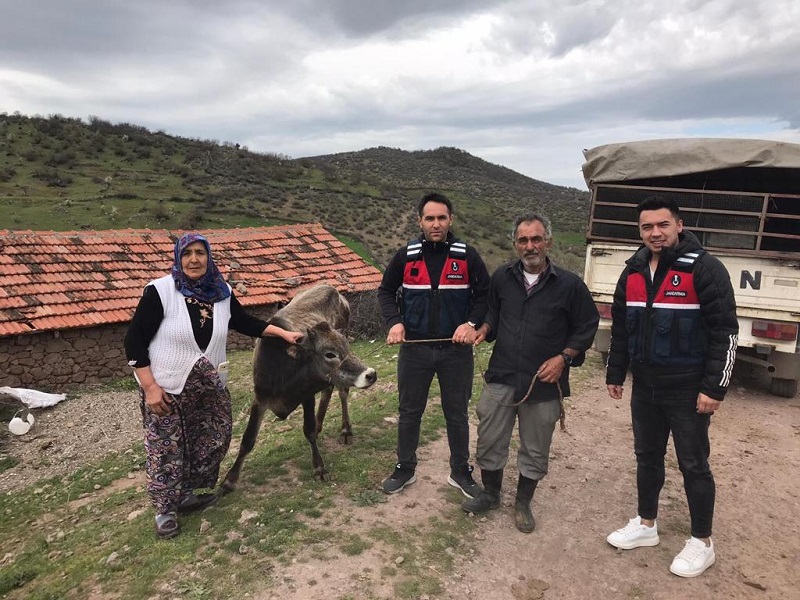 Kurbanlığı Çalan Şüpheliler Jandarma Tarafından Yakalandı