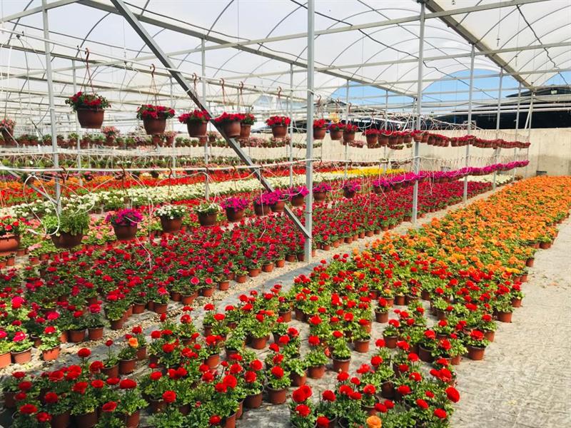 Tarıma Dayalı İhtisas Organize Sanayi Bölgesi Hazırlık Toplantıları Başladı