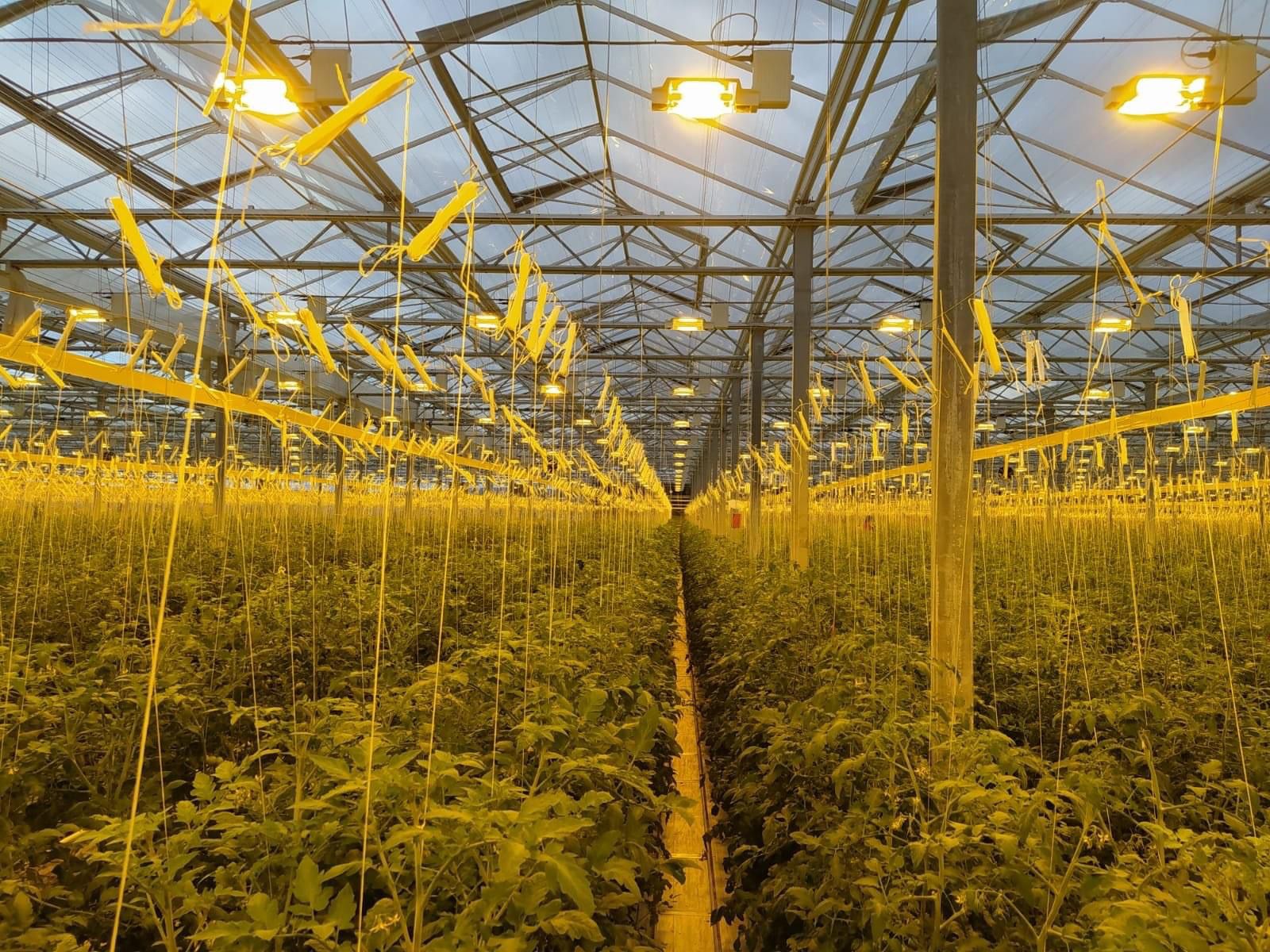 Balıkesir Kentsel Tarım Merkezi Olma Yolunda