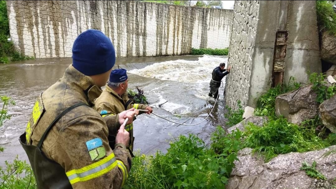 Danaları İtfaiyeciler Kurtardı