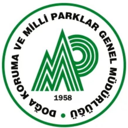 Tedavi Edilen Ağaç Kamışçını Kaldığı Yerden Göç Yolculuğuna Devam Etti