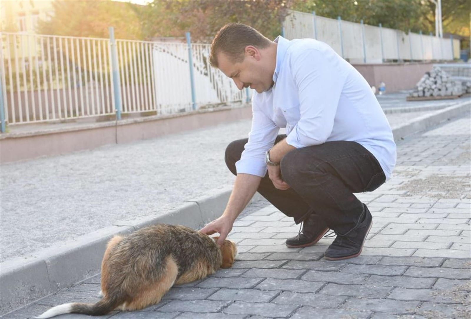 BBB’den Bandırma’ya da Sokak Hayvanları Tedavi Merkezi