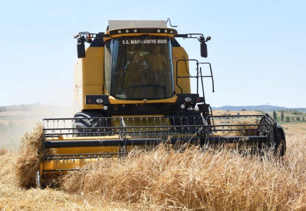 İl Tarım Ve Orman Müdürü Biçerdöverle Hububat Hasadında