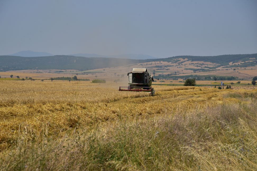 Balıkesir Üniversitesinde Tarımsal Ürünler İçin Hasat Başladı