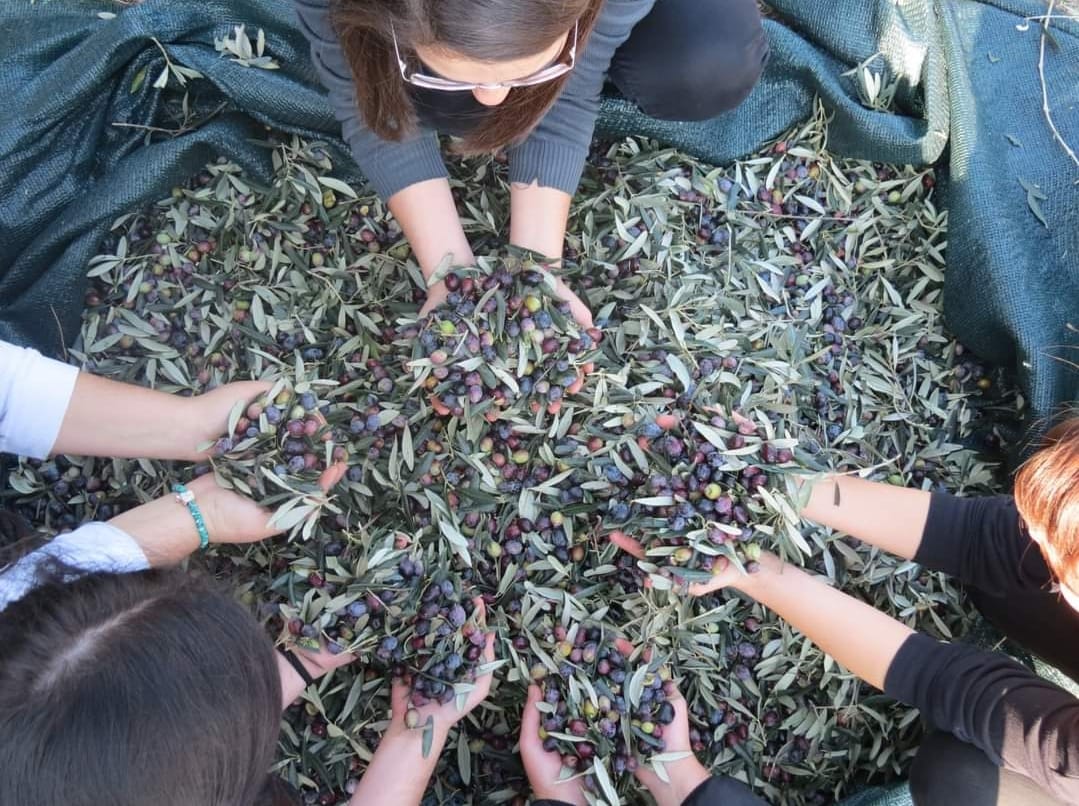Balıkesir Üniversitesi Edremit Belediyesi El Ele