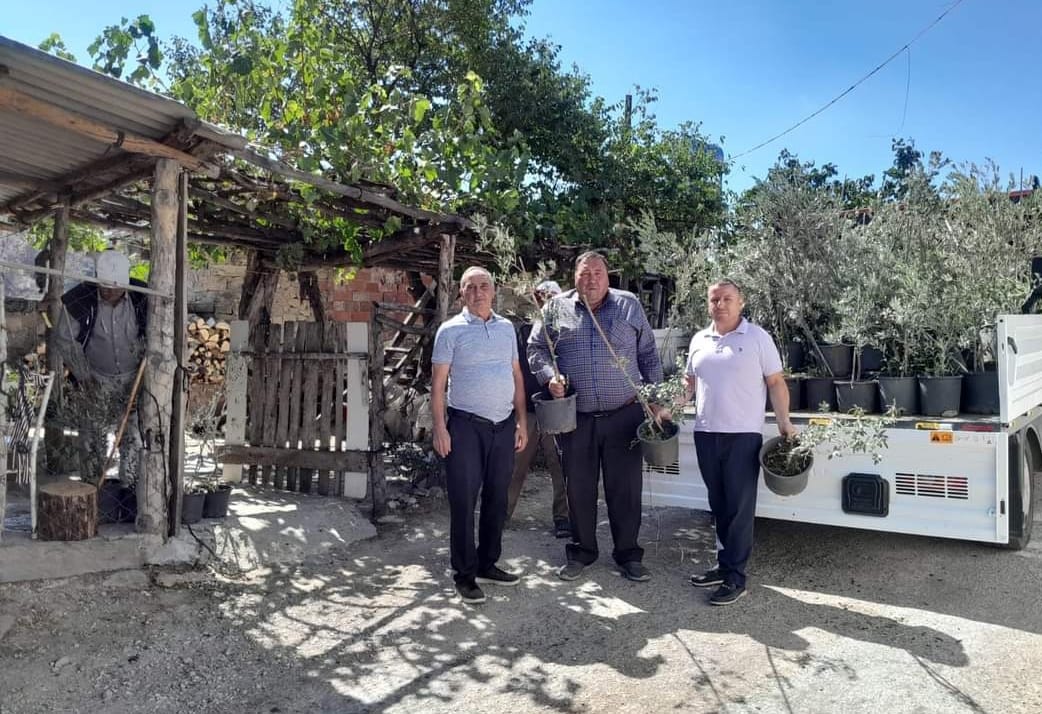 EDREMİT’TEN ÇANAKKALE’YE 250 ZEYTİN FİDANI