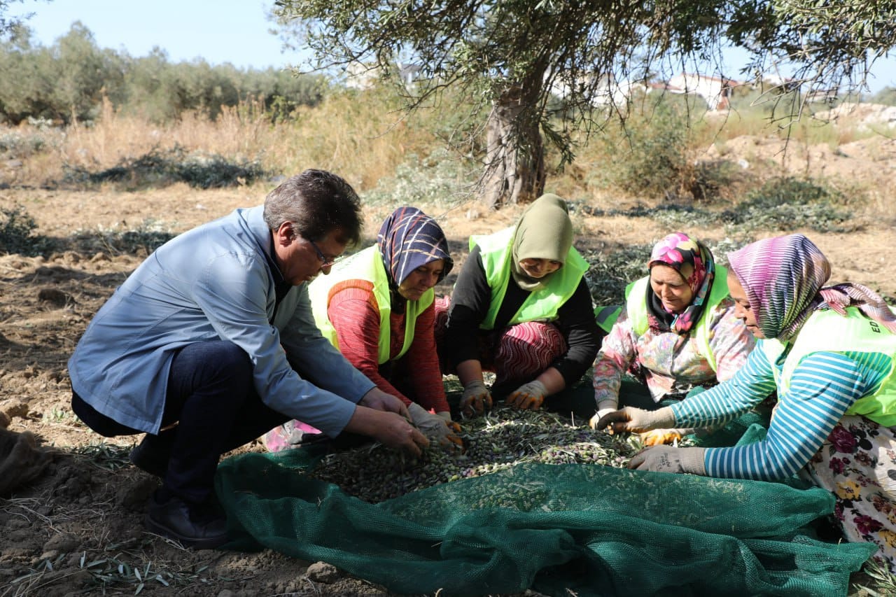 ZEYTİNİN BAŞKENTİ EDREMİT’TEN SOFRALARA