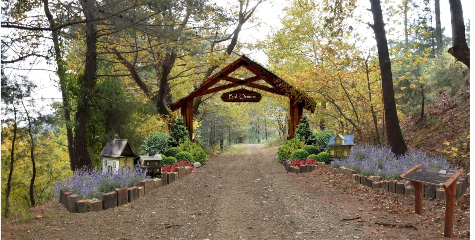 Türkiye’nin en büyük bal ormanı Kazdağları’nda