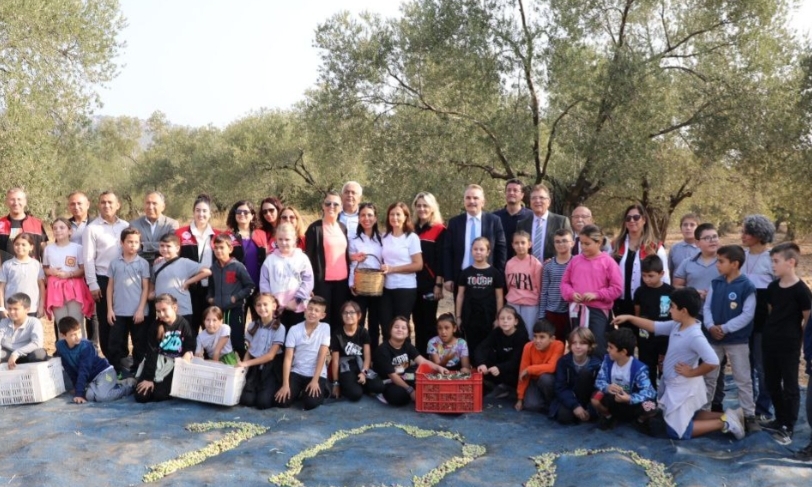 Öğrencilerle Zeytin Hasadı