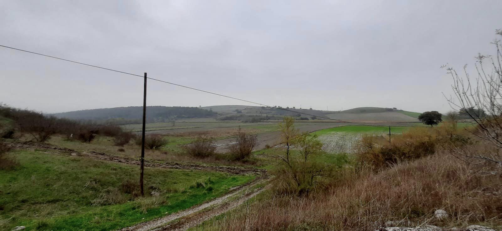 Türkiye’nin İlk Küçükbaş TDİOSB’sinin Balıkesir’de Kurulması Planlanıyor.