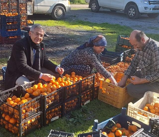 Yurt Yıldırım; Mandalina Tarlasındaki İşçilere Kadar El Sıktı