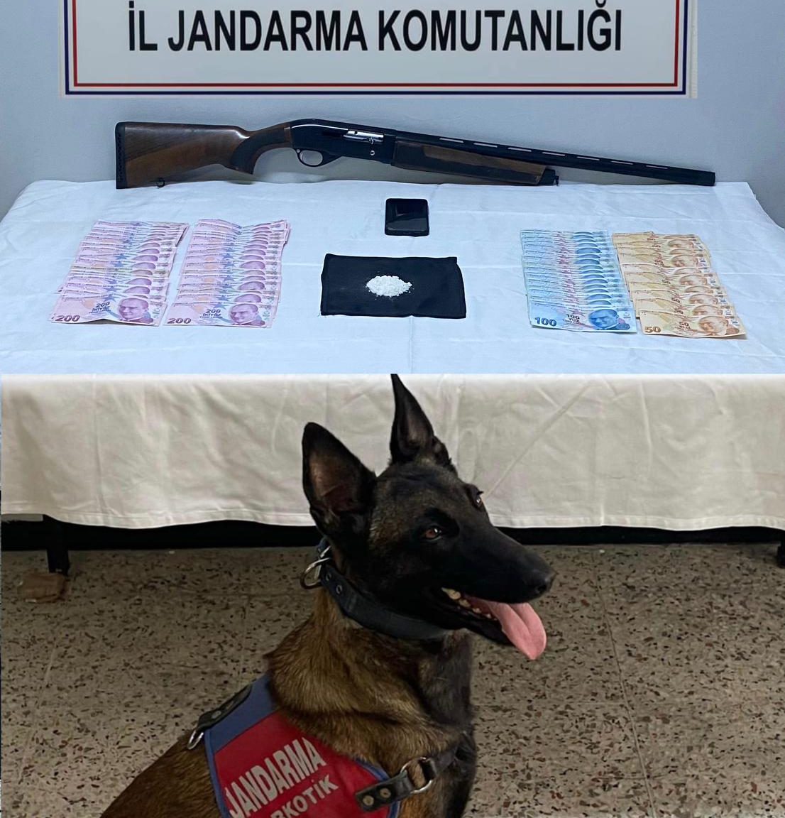 Jandarma Uyuşturucu’dan 1 Kişiyi Yakaladı