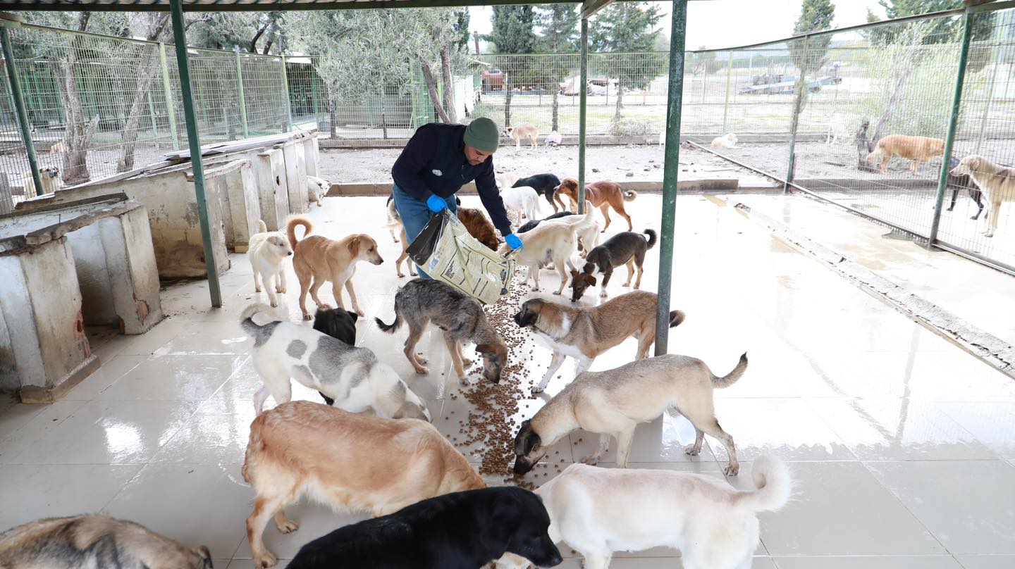 BURHANİYE BELEDİYESİ CAN DOSTLARINA GÖZÜ GİBİ BAKIYOR