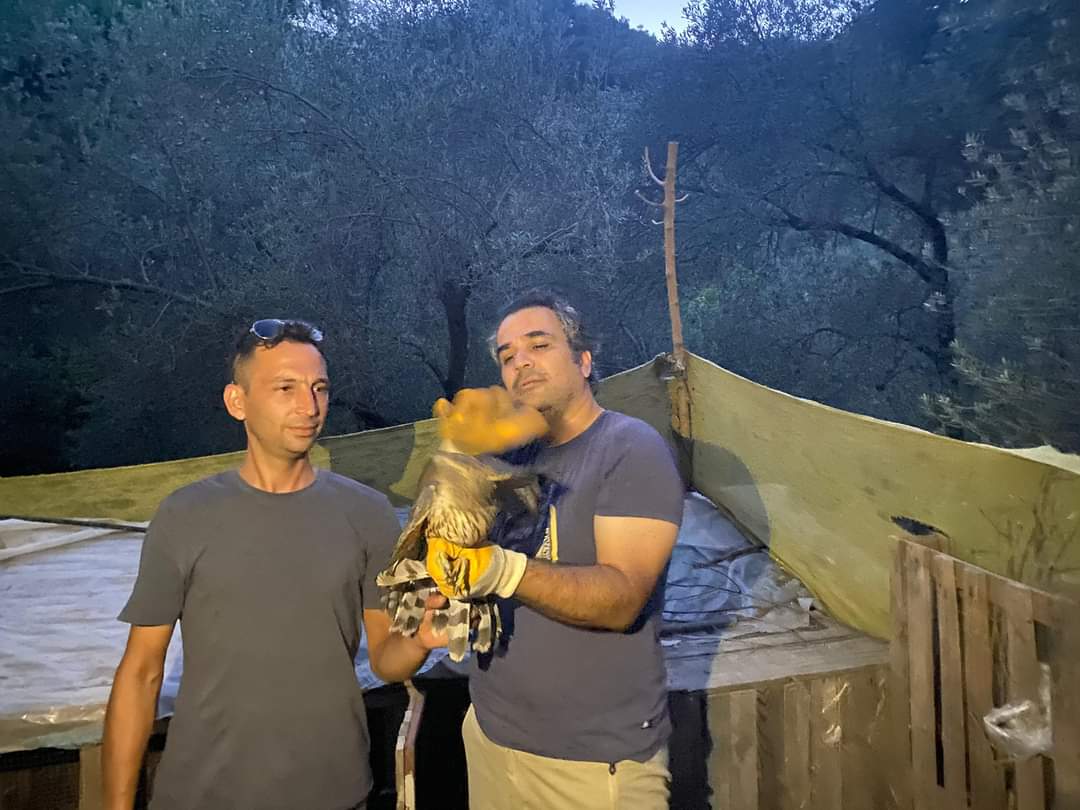 Yaralı kuş Milli Parklara teslim edildi