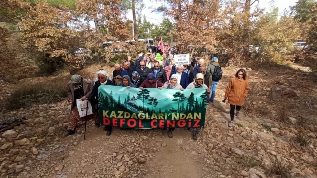 AĞAÇ KESİMİNİ ACİLEN BIRAK!