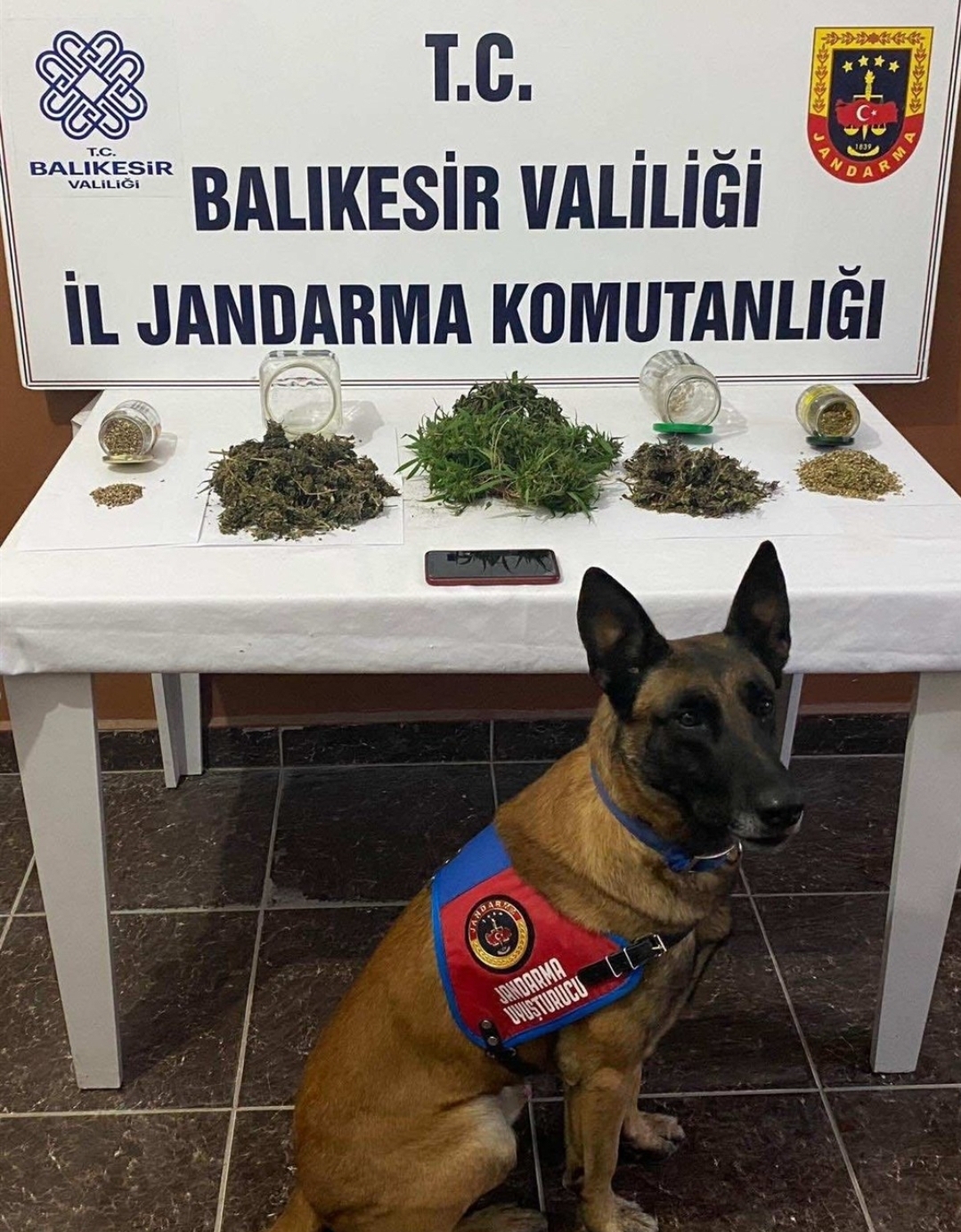 JANDARMA SUÇLULARA GÖZ AÇTIRMIYOR