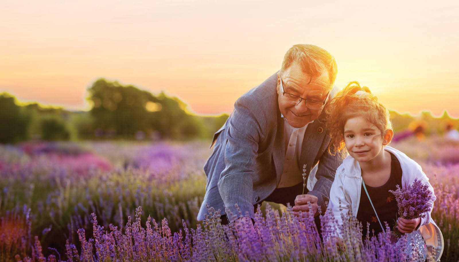ALTIEYLÜL’DE MOR BİR RÜYA