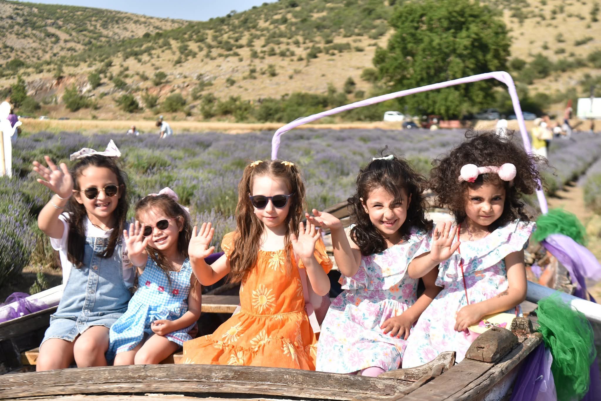 ALTIEYLÜL’DE MOR RENGİN AHENGİ GÜNEŞİN SARISIYLA BİRLEŞTİ