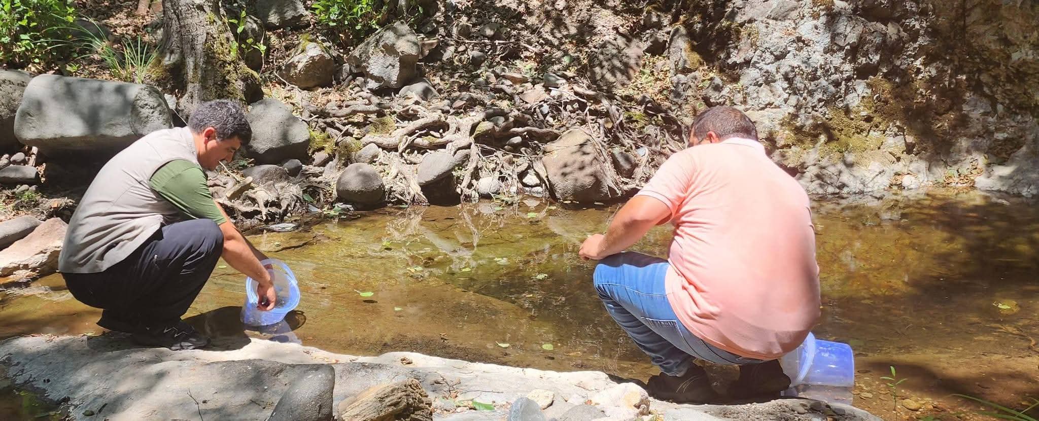 DKMP BALIKESİR’DE BARAJA 20 BİN ALABALIK SALDI