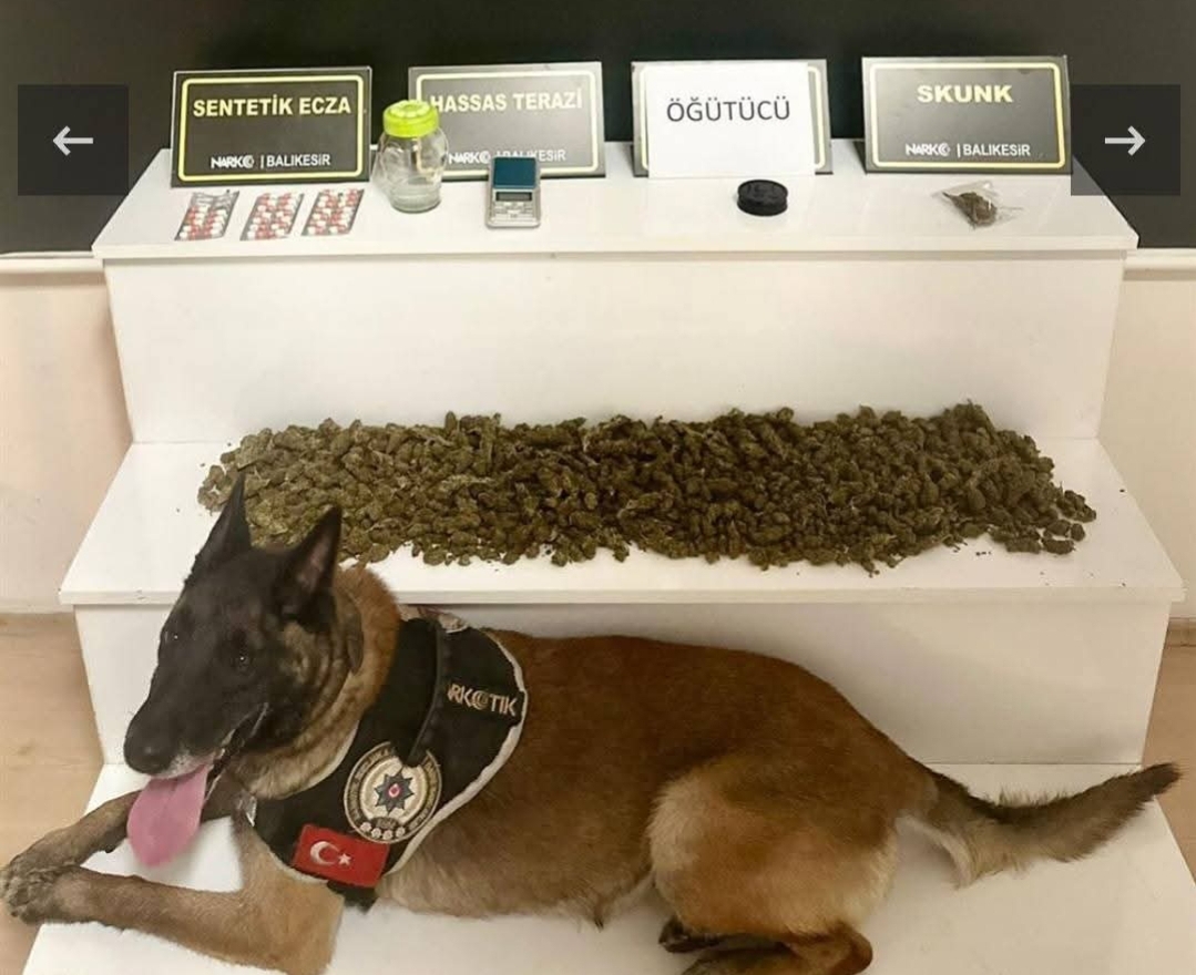 EDREMİT’TE UYUŞTURUCU MADDE OPERASYONU